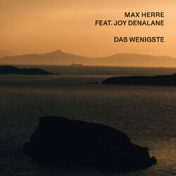 Cover of Das Wenigste