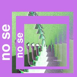 Cover of No Se