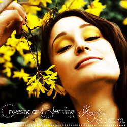 Cover of Crossing And Blending