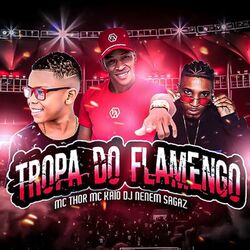 Cover of Tropa do Flamengo