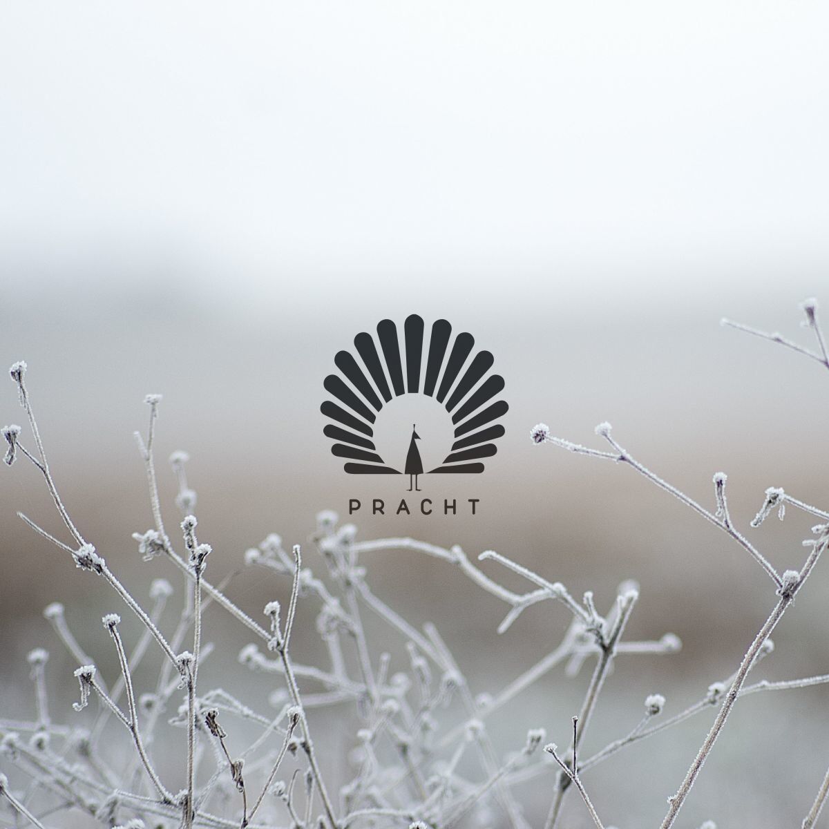 Album cover of Clu