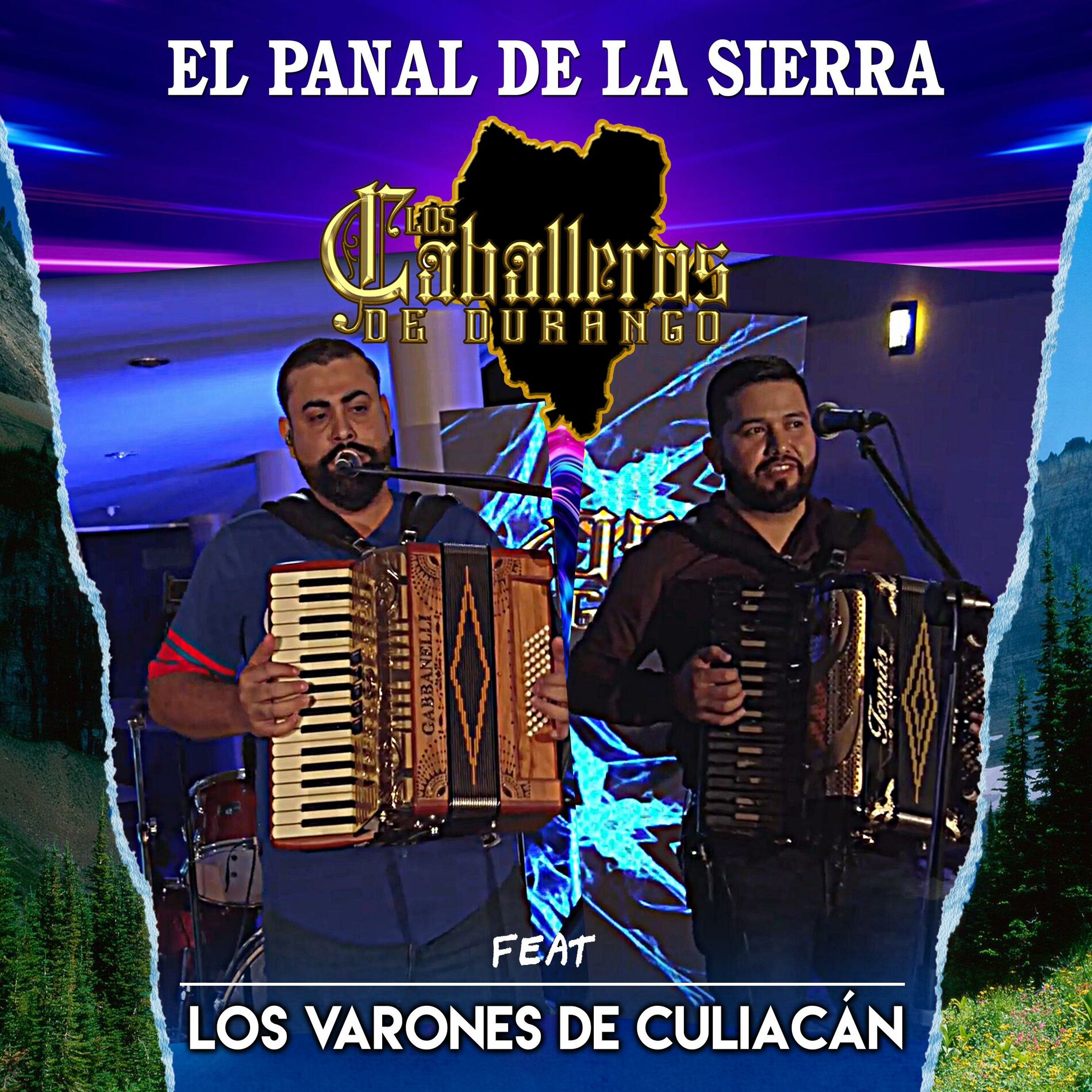 Album cover of El panal de la sierra (feat. los varones de culiacan)