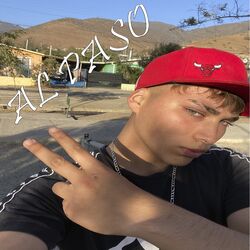 Cover of Al Paso