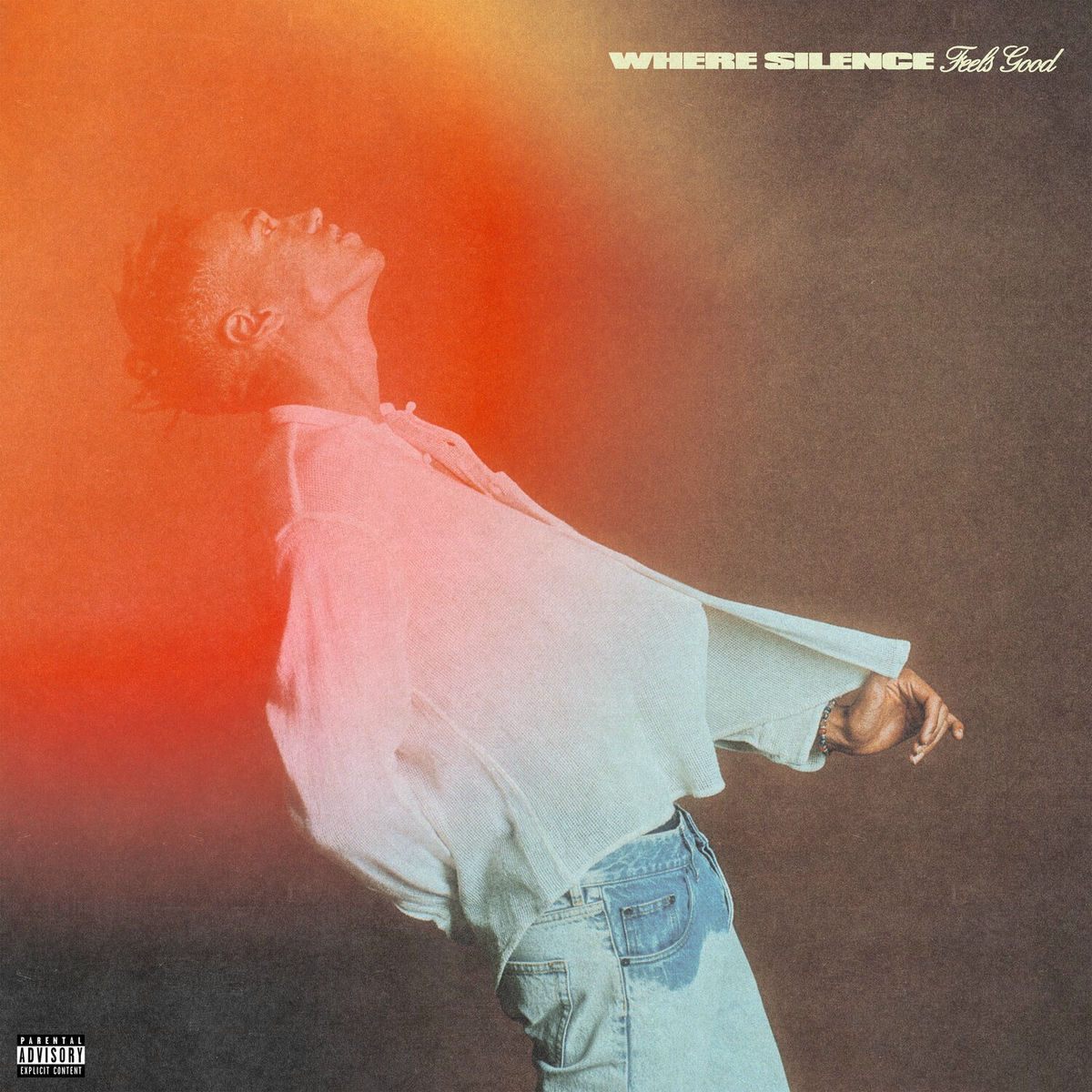 Album cover of Where Silence Feels Good