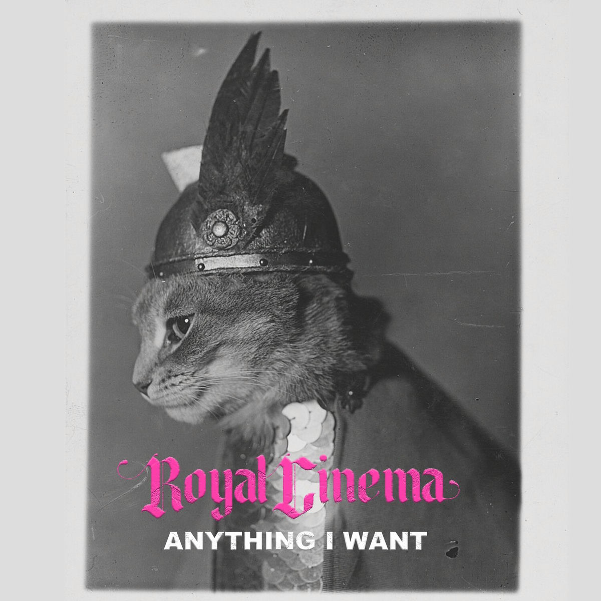 Album cover of Anything I Want