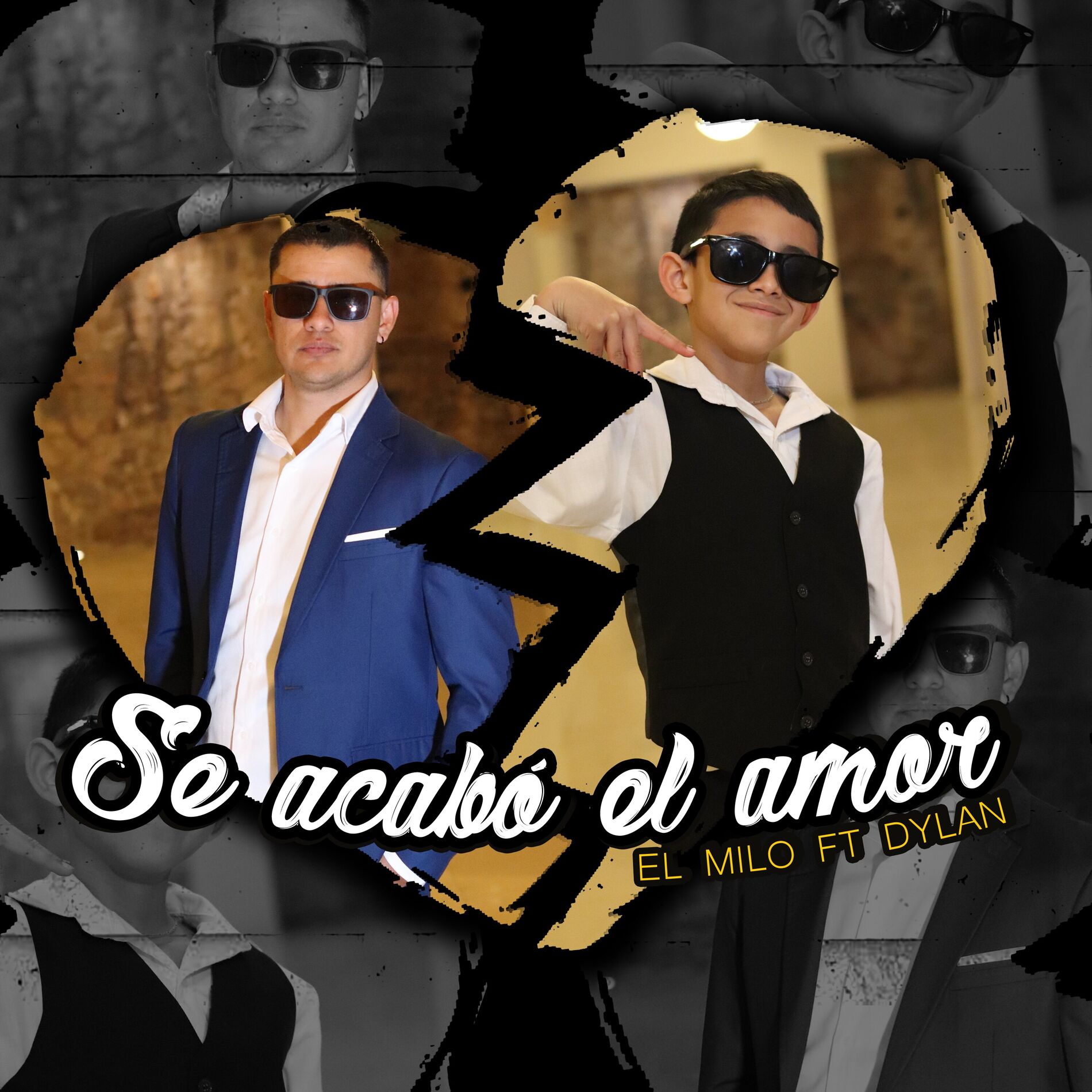 Album cover of Se acabó el amor