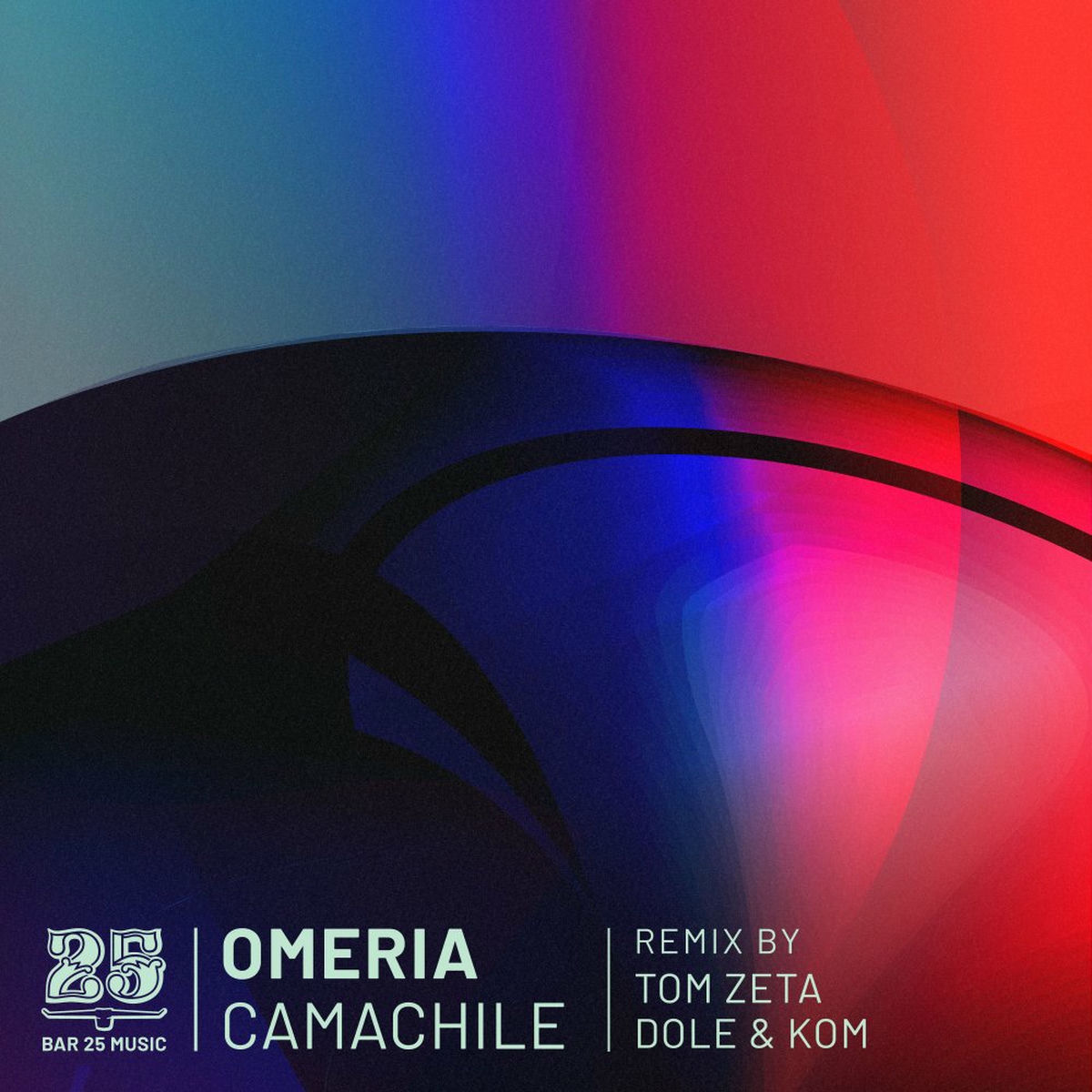 Album cover of Camachile
