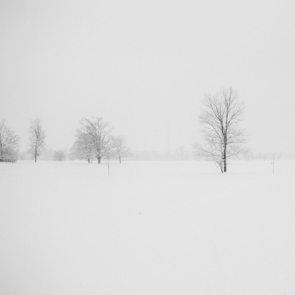 Picture of 50 Songs of December: Happy & Peaceful Christmas Music for a Relaxing Christmas Eve