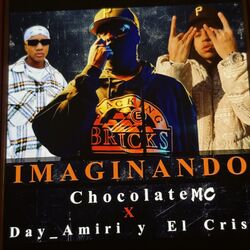 Cover of Imaginando