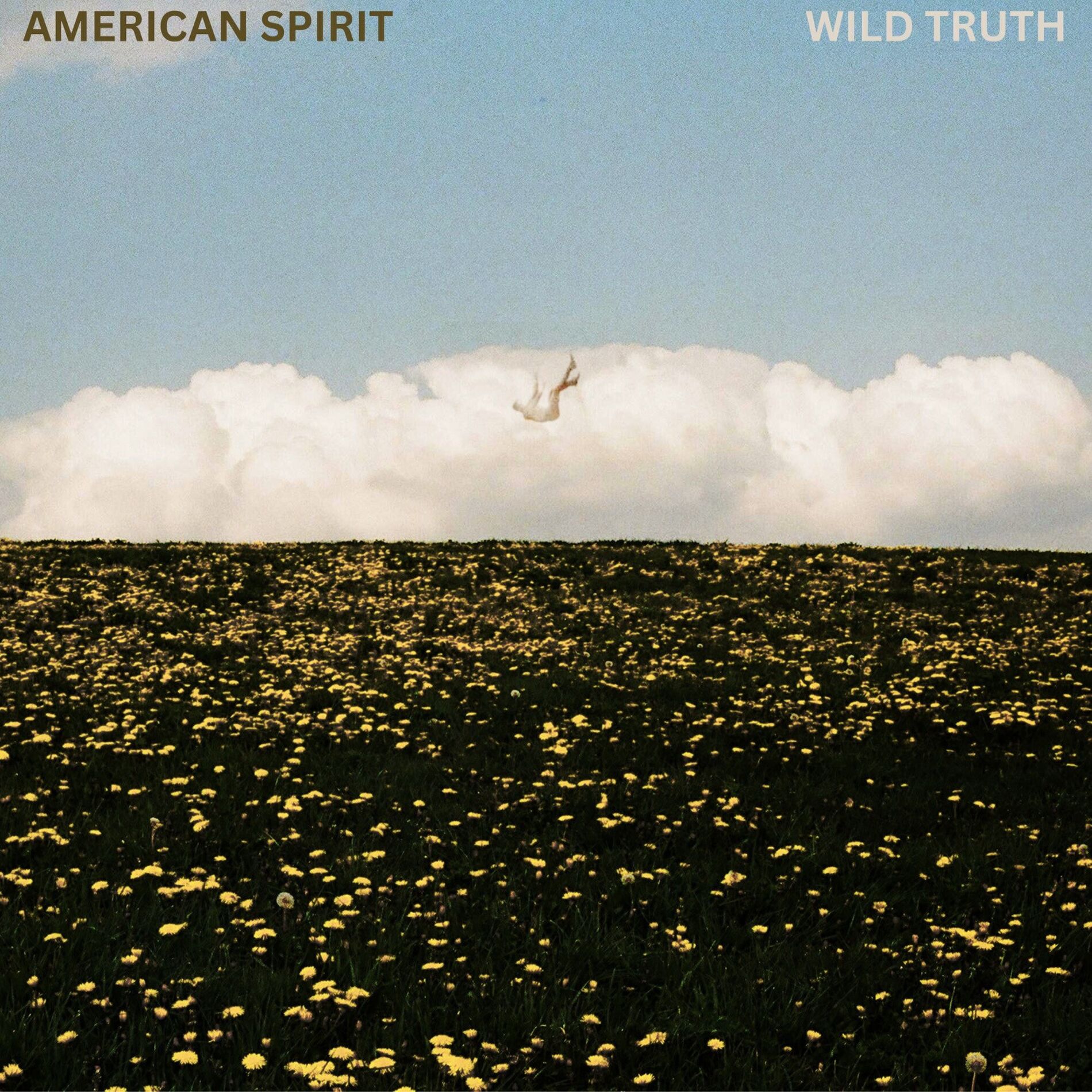 Album cover of American Spirit