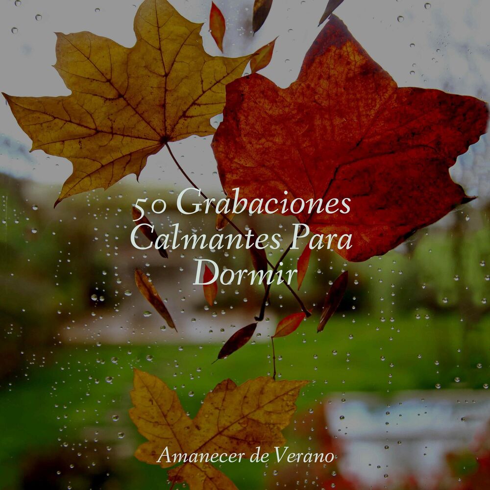 Picture of 50 Grabaciones Calmantes Para Dormir
