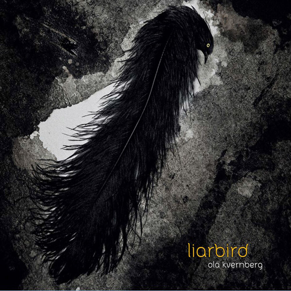 Picture of Liarbird