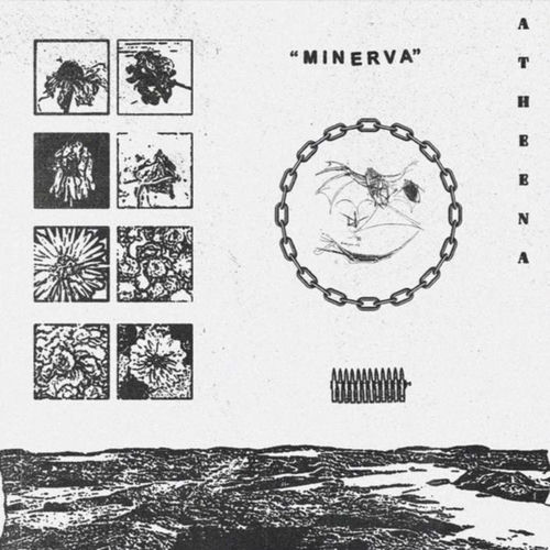 Minerva