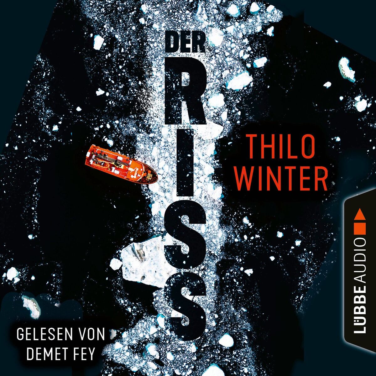 Album cover of Der Riss (Ungekürzt)
