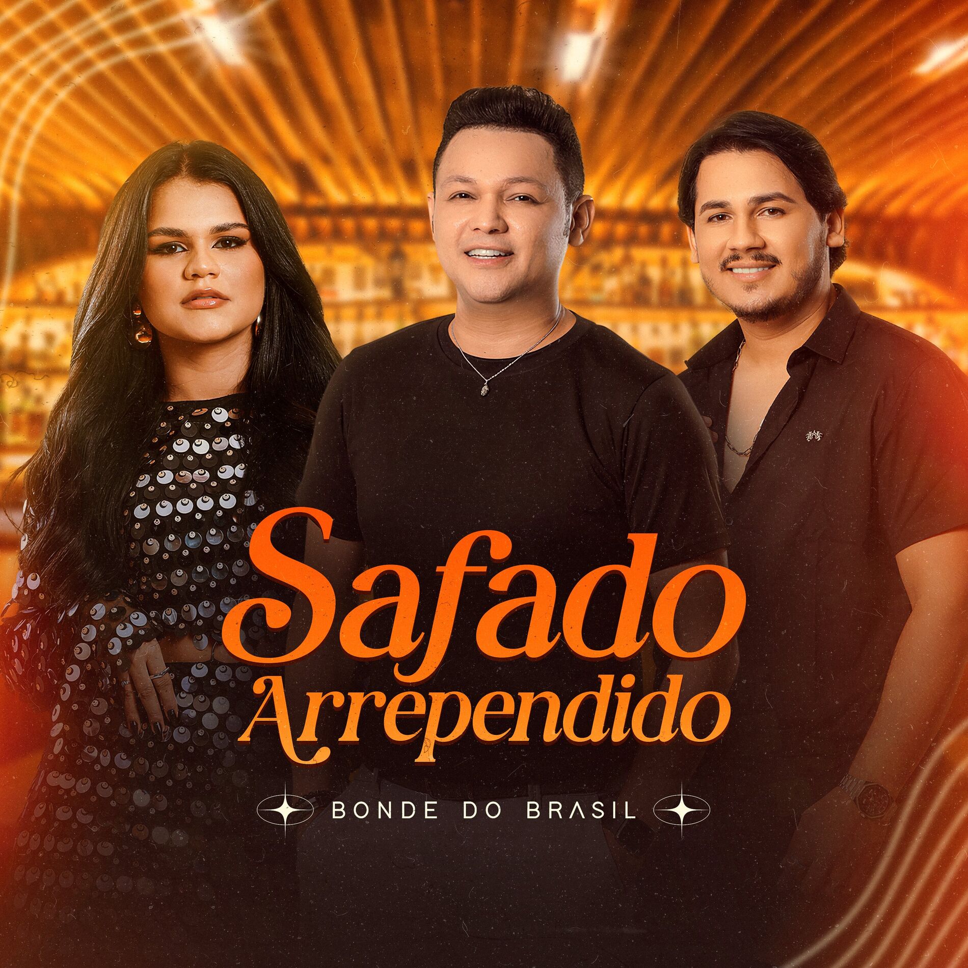 Album cover of Safado Arrependido
