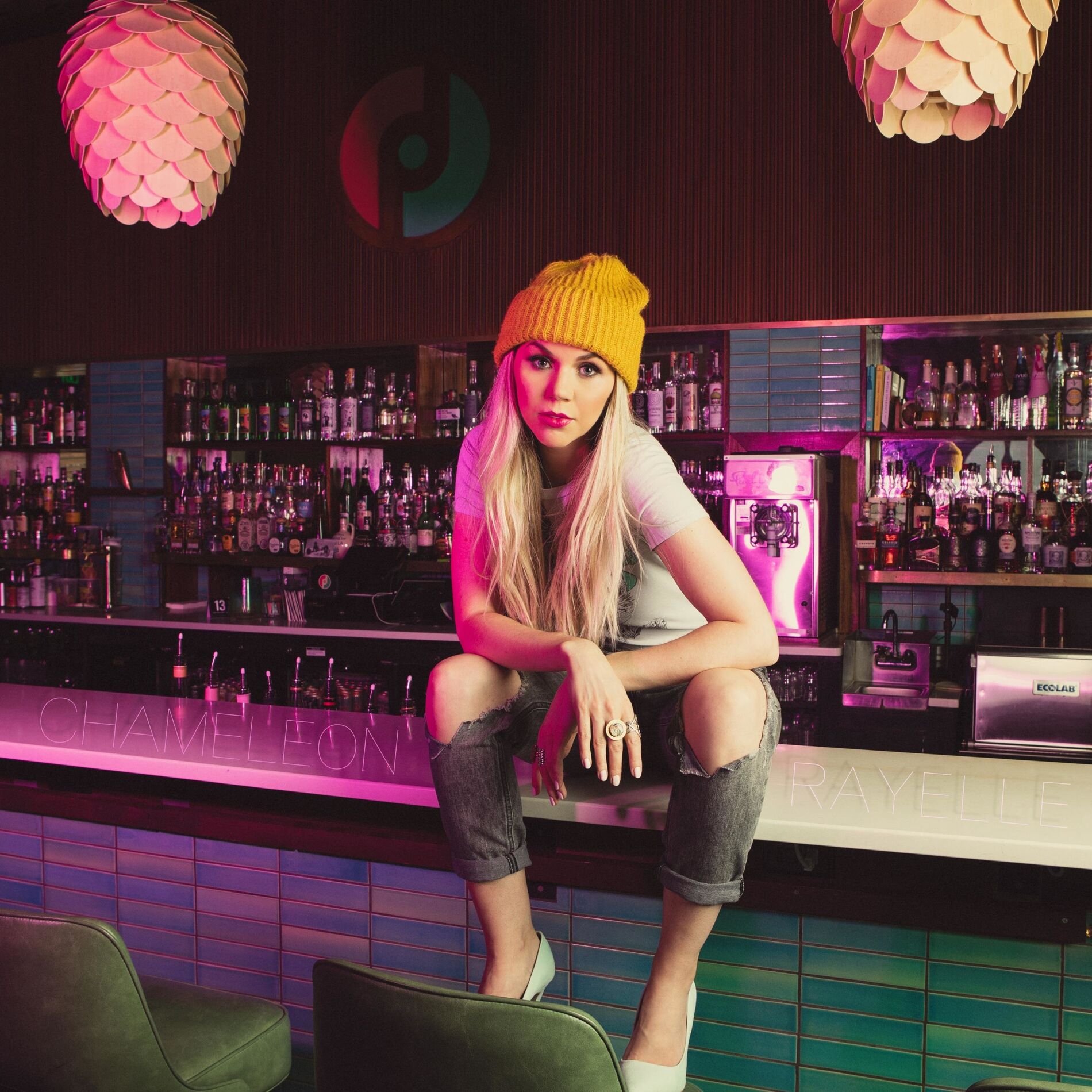 Album cover of Chameleon