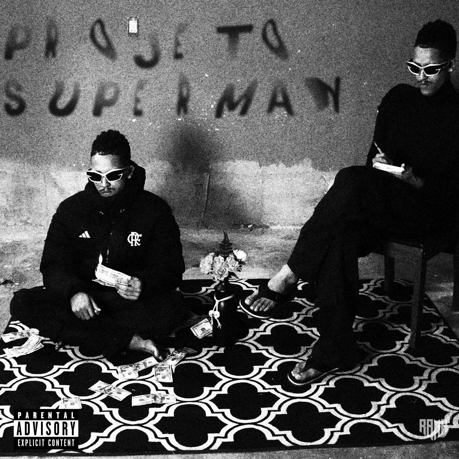Album cover of Projeto Superman