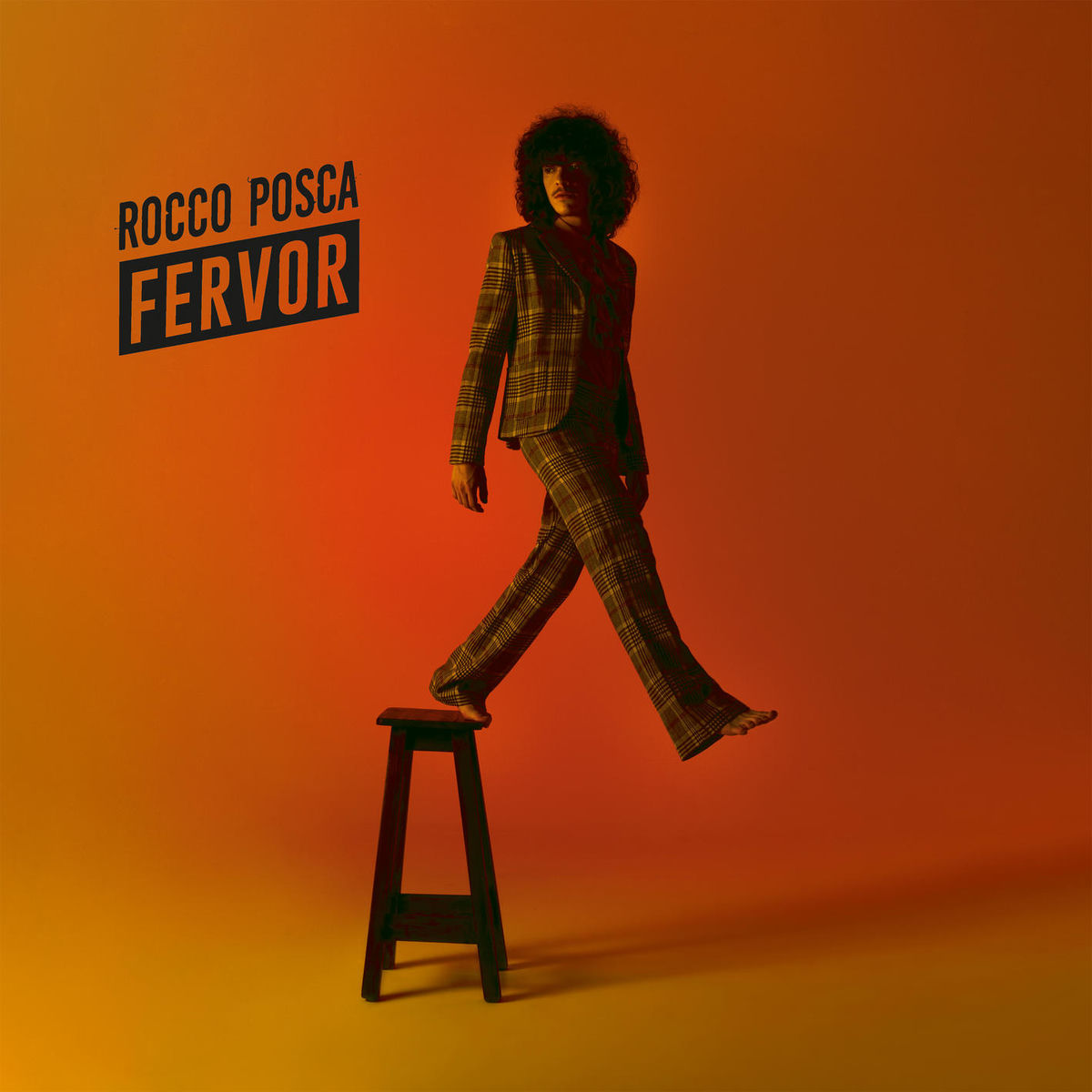 Album cover of Multiplico