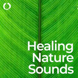 Cover of Healing Nature Sounds: Meditation and Mindfulness