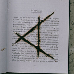 Cover of The Weight