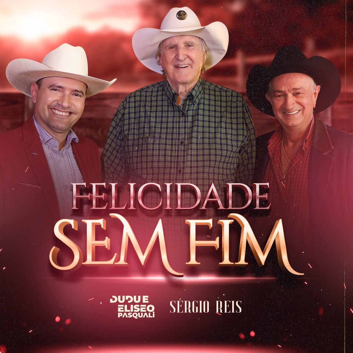 Album cover of Felicidade Sem Fim