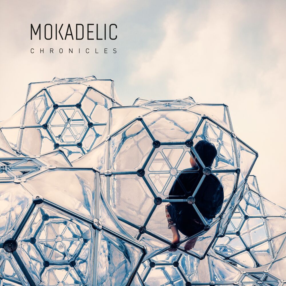 Picture of Chronicles