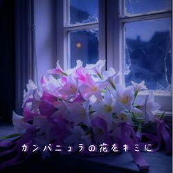Cover of flowers of campanula for you