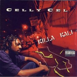 Cover of Killa Kali