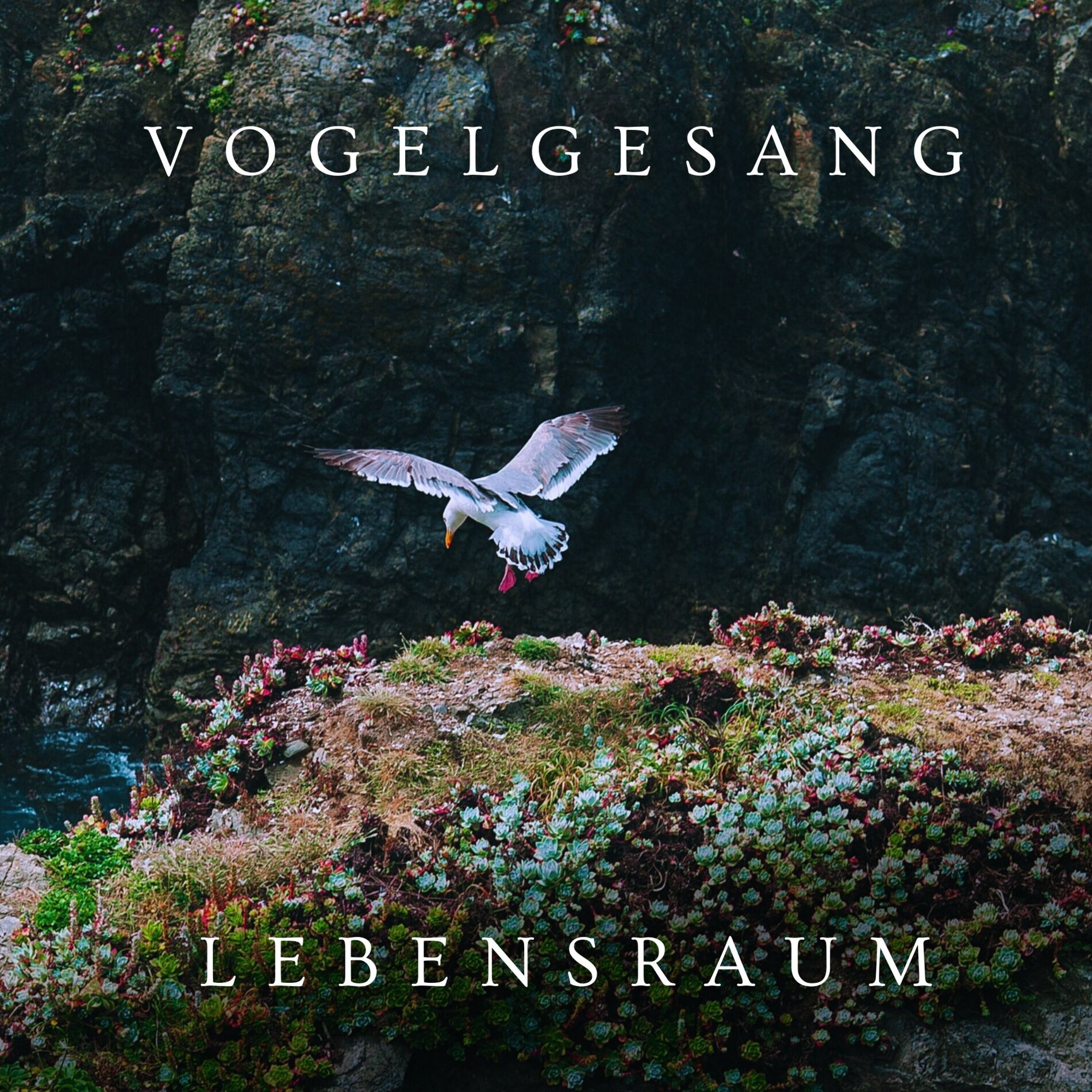 Album cover of Vogelgesang Lebensraum