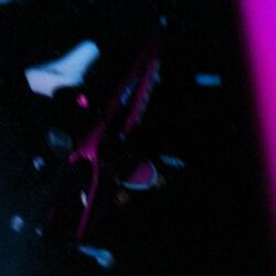 Cover of seekluv