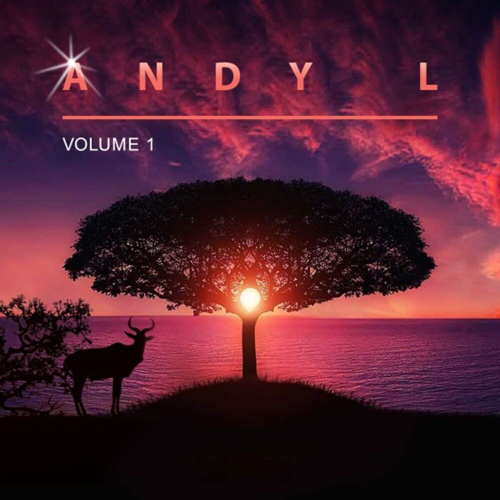 Picture of Andy L, Vol. 1