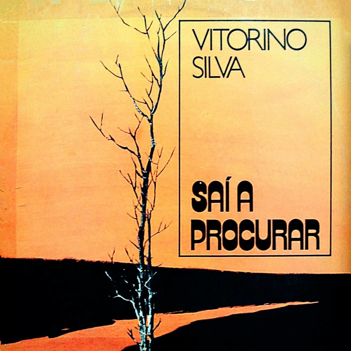 Album cover of Saí A Procurar