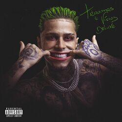 Cover of Traumas e Vícios (Deluxe)