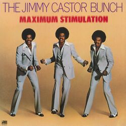 Cover of Maximum Stimulation