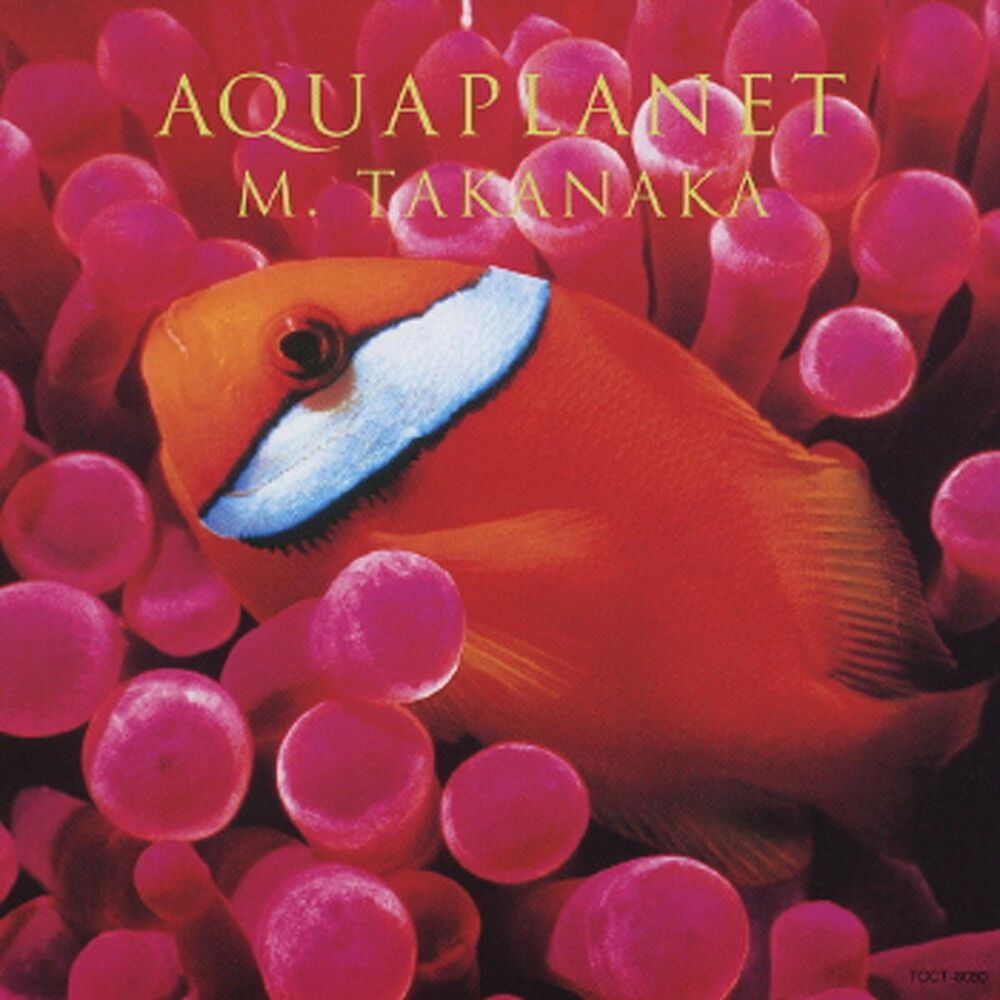 Picture of Aqua Planet