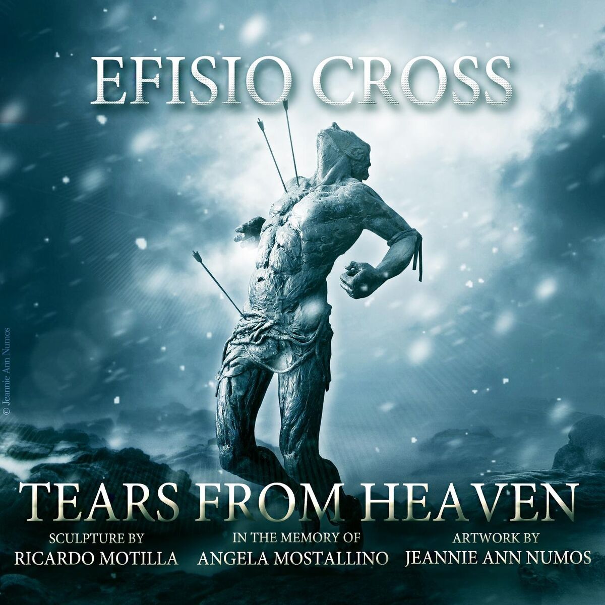 Album cover of Tears from Heaven
