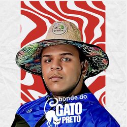 Cover of No Clima do Gato