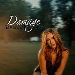 Cover of Damage