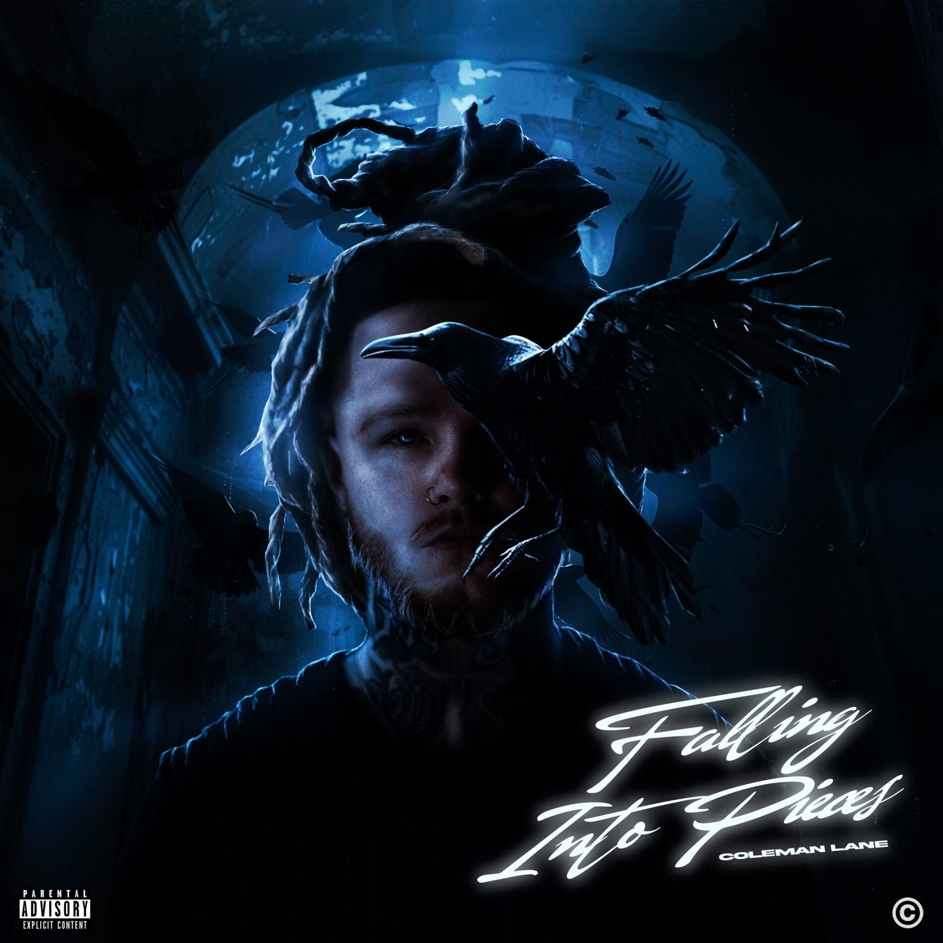Album cover of Falling Into Pieces