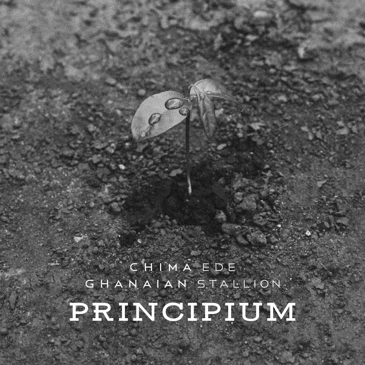 Album cover of Principium