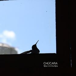 Cover of Risa contra risa