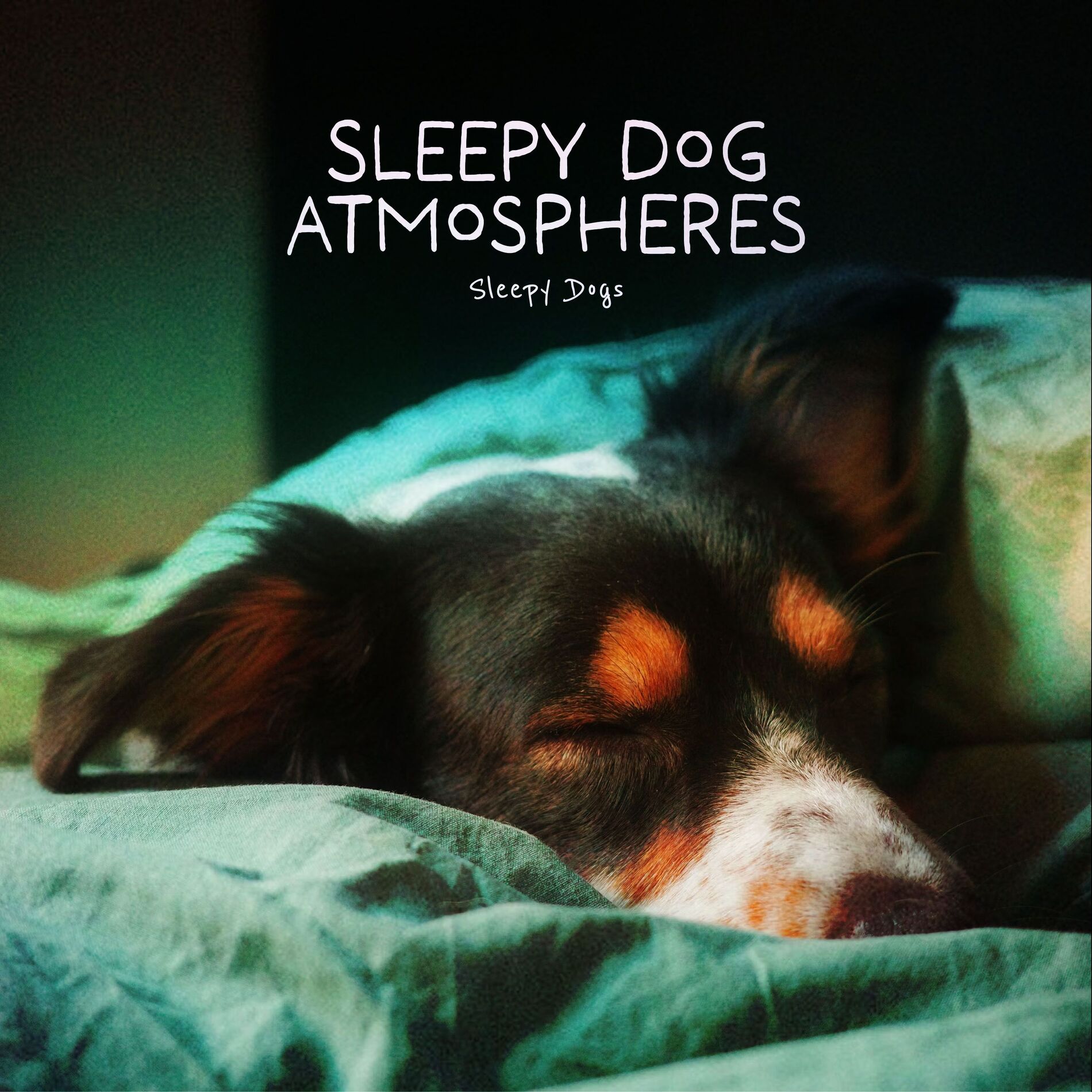 Album cover of Sleepy Dog Atmospheres