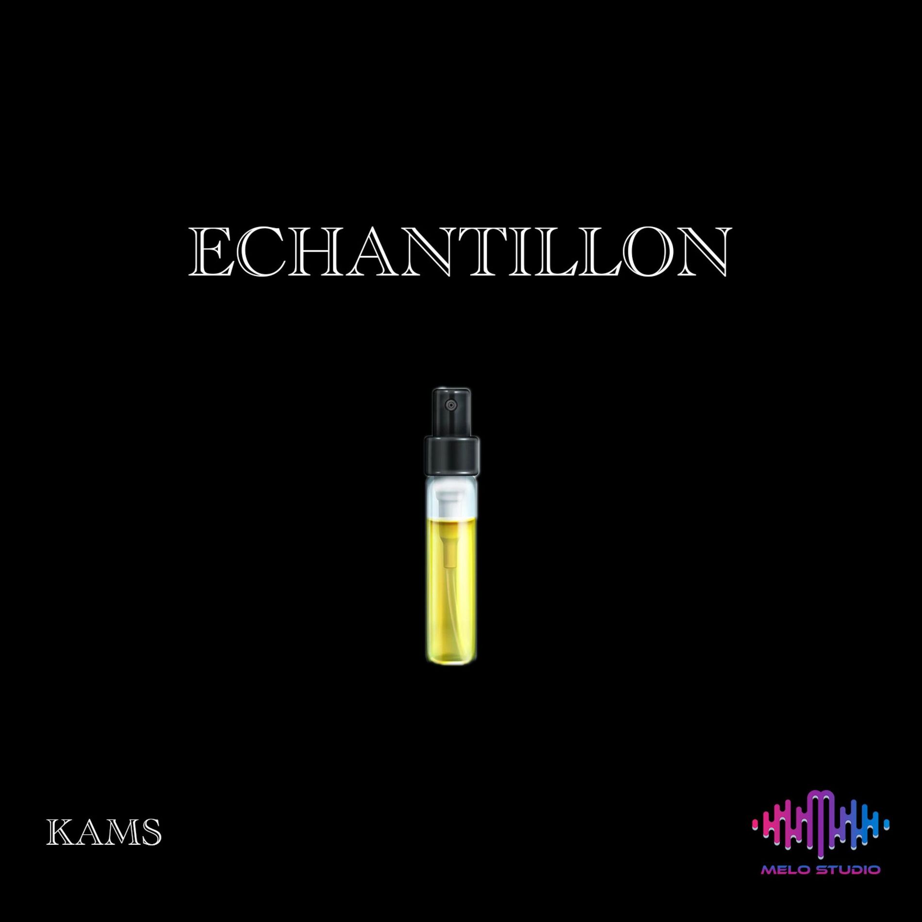Album cover of Echantillon