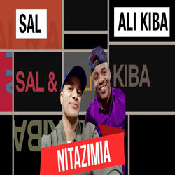 Cover of Nitazimia
