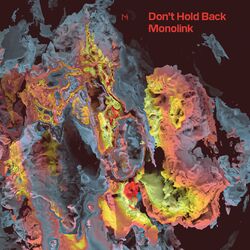 Cover of Don't Hold Back (Edit)