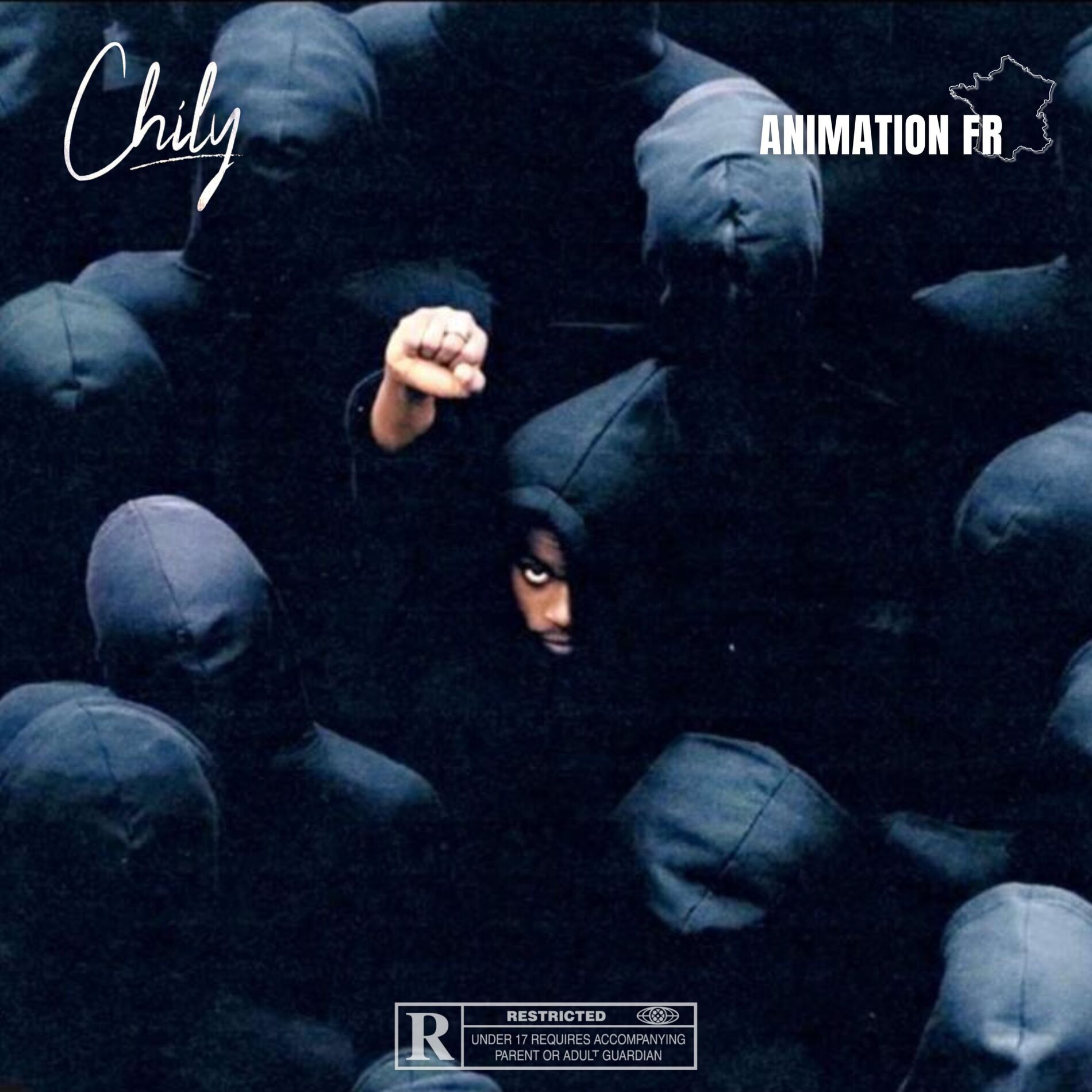 Album cover of Animation FR