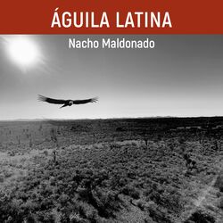 Cover of Aguila Latina