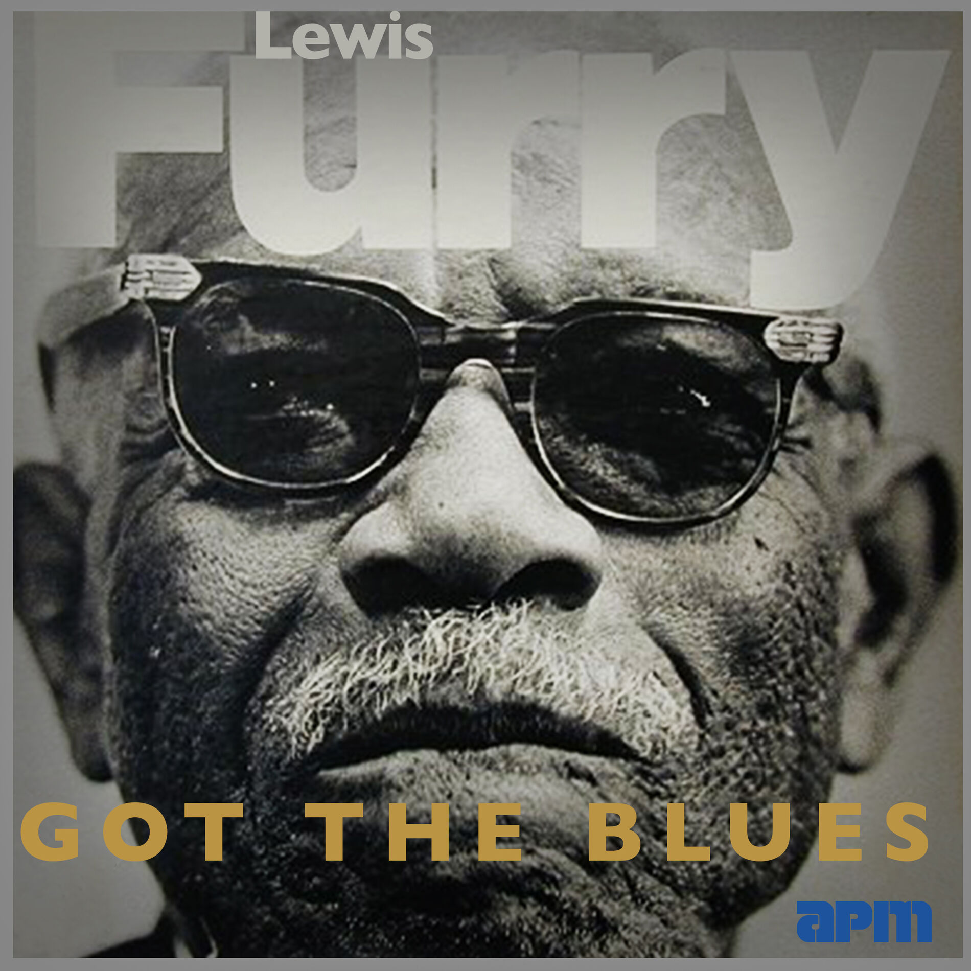 Album cover of Got The Blues