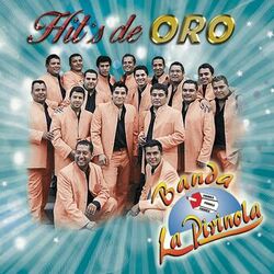 Cover of Hit's De Oro