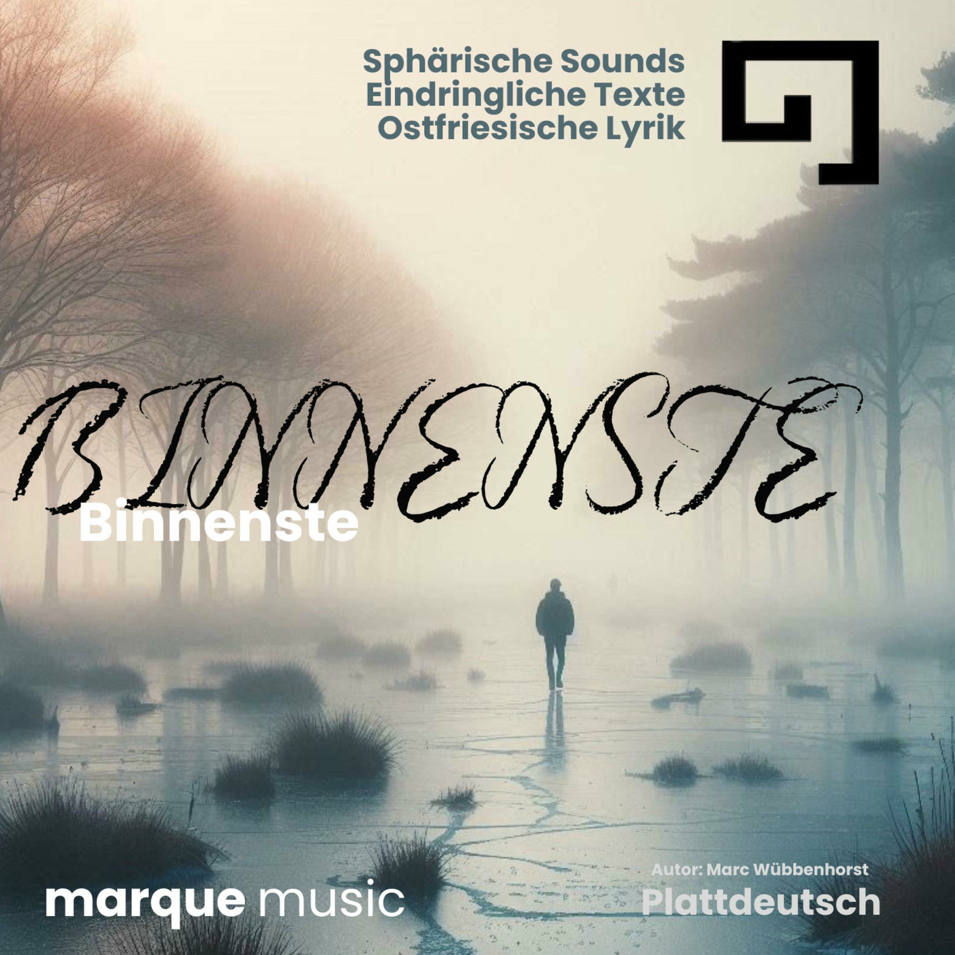 Album cover of Binnenste (marque music)